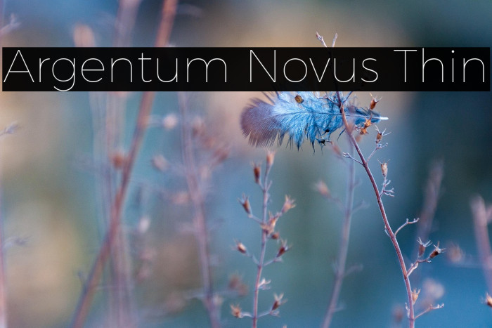 Argentum Novus Thin Example 3