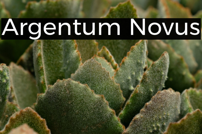 Argentum Novus Example 2