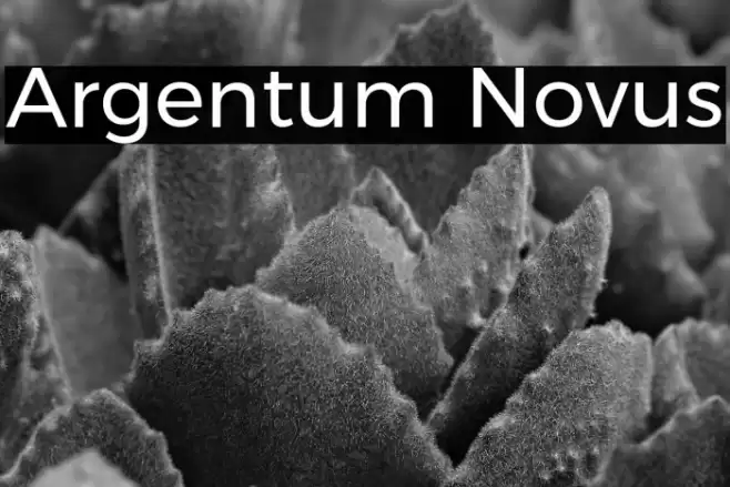 Argentum Novus Caratteri examples