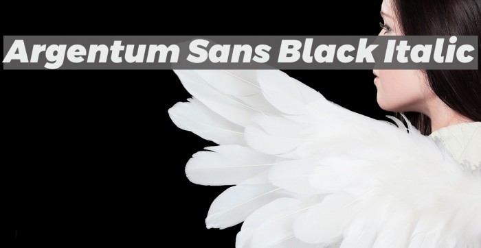 Argentum Sans Black Italic Font examples