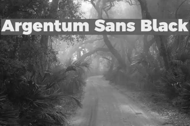 Argentum Sans Black Font examples