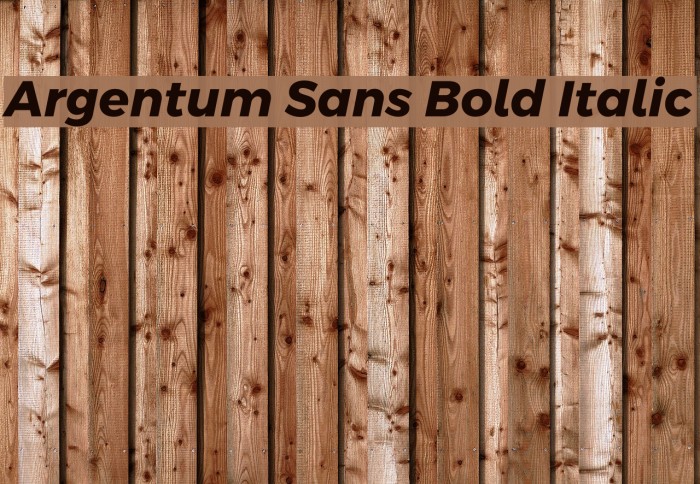 Argentum Sans Bold Italic Font examples