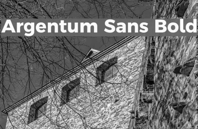 Argentum Sans Bold Font examples