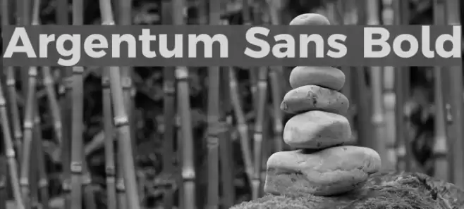 Argentum Sans Bold Font examples