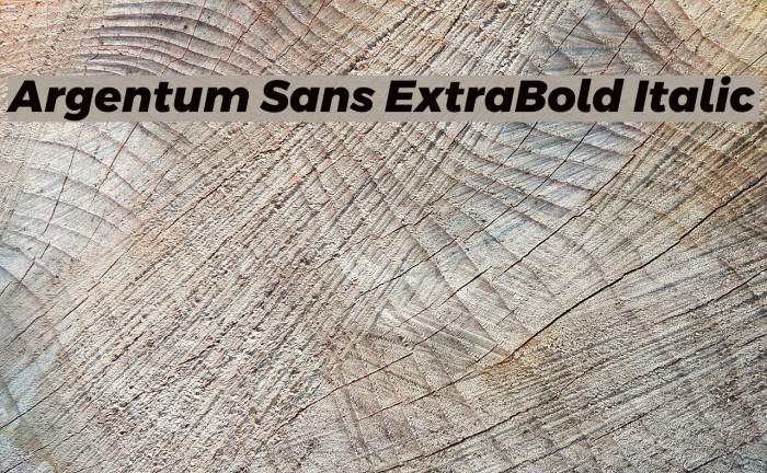 Argentum Sans ExtraBold Italic Font examples