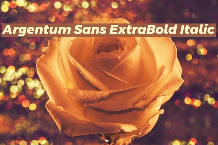 Argentum Sans ExtraBold Italic Font examples