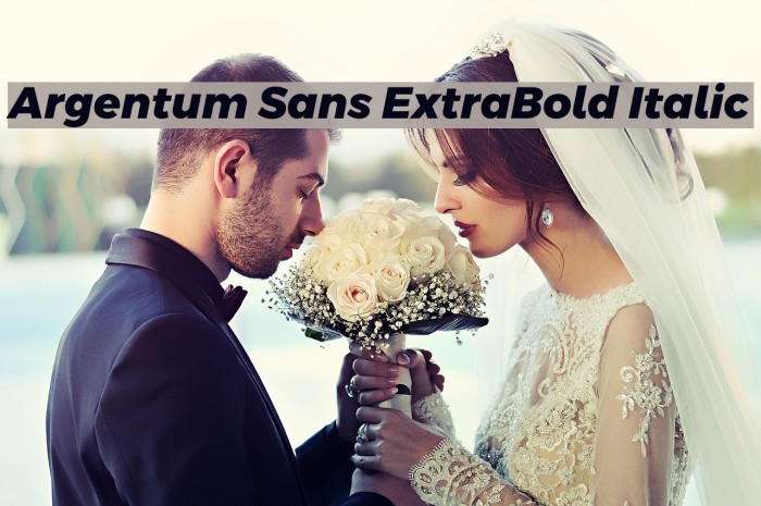 Argentum Sans ExtraBold Italic Font examples