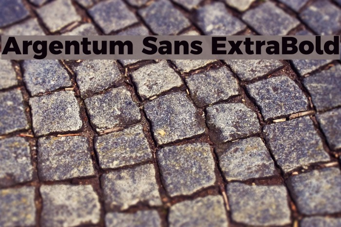 Argentum Sans ExtraBold Font examples