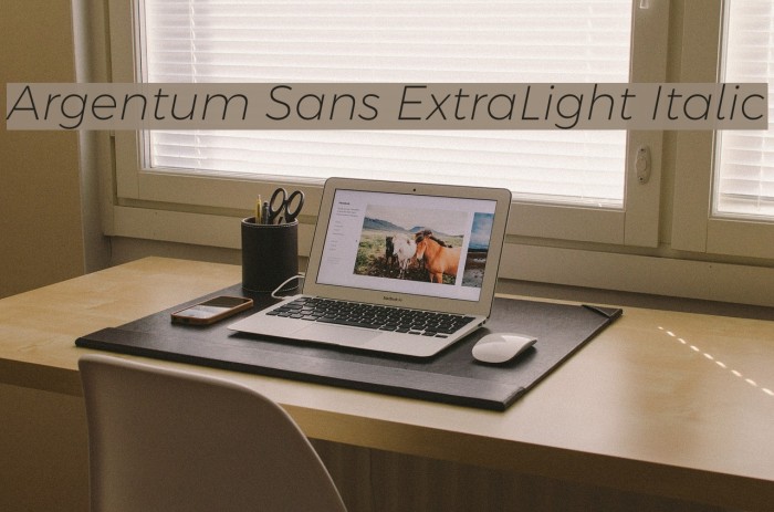 Argentum Sans ExtraLight Italic Font examples