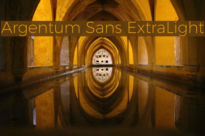Argentum Sans ExtraLight Font examples