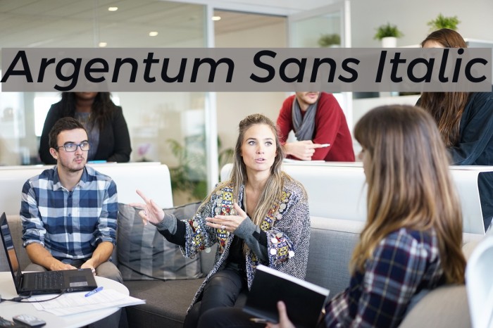 Argentum Sans Italic Font examples