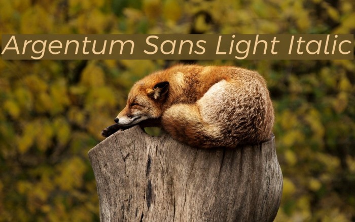 Argentum Sans Light Italic Font examples