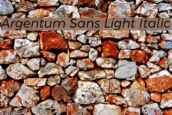 Argentum Sans Light Italic Font examples