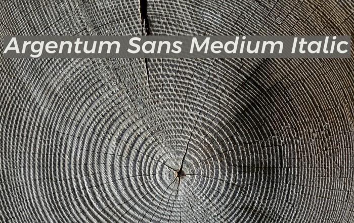 Argentum Sans Medium Italic Font examples