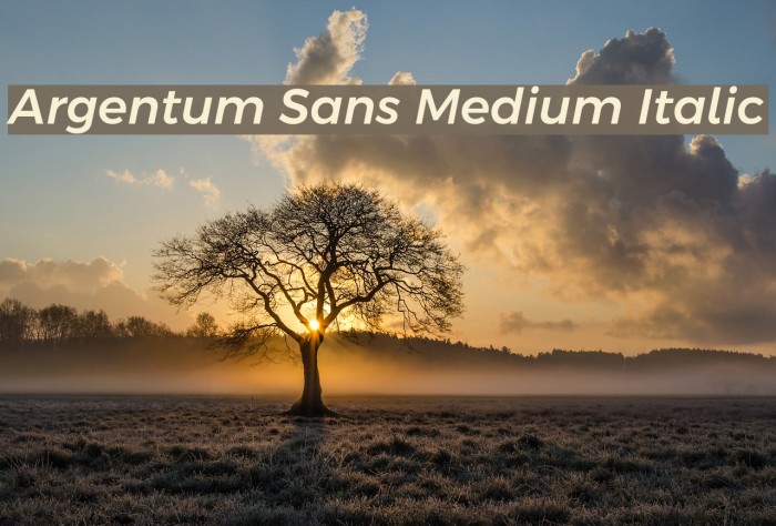 Argentum Sans Medium Italic Font examples