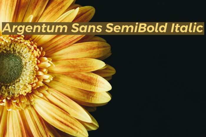 Argentum Sans SemiBold Italic Font examples