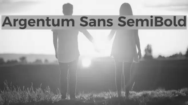 Argentum Sans SemiBold Font examples