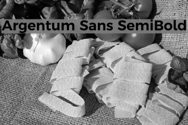 Argentum Sans SemiBold Font examples