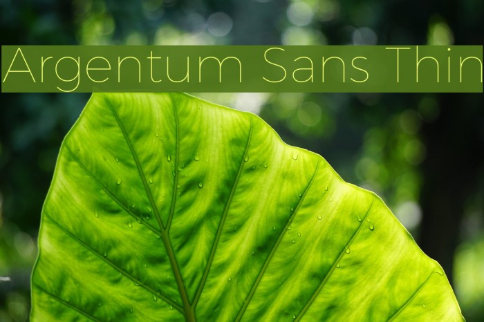 Argentum Sans Thin Font examples