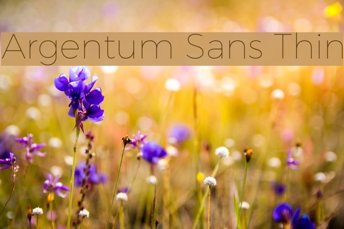 Argentum Sans Thin Font examples