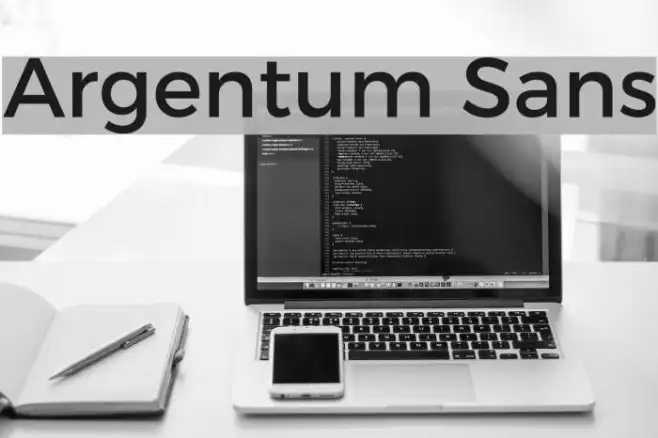 Argentum Sans Example 2
