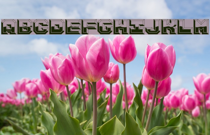 ArgentumShine Example 1