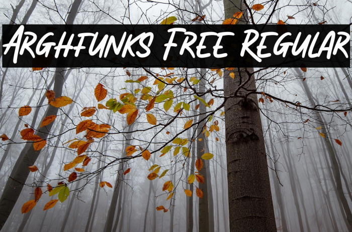 Arghfunks Free Regular Example 1