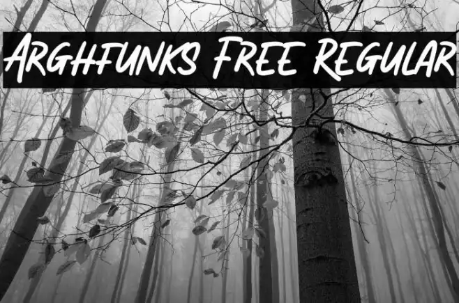 Arghfunks Free Regular Example 1