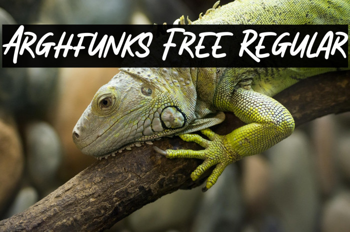 Arghfunks Free Regular Example 3