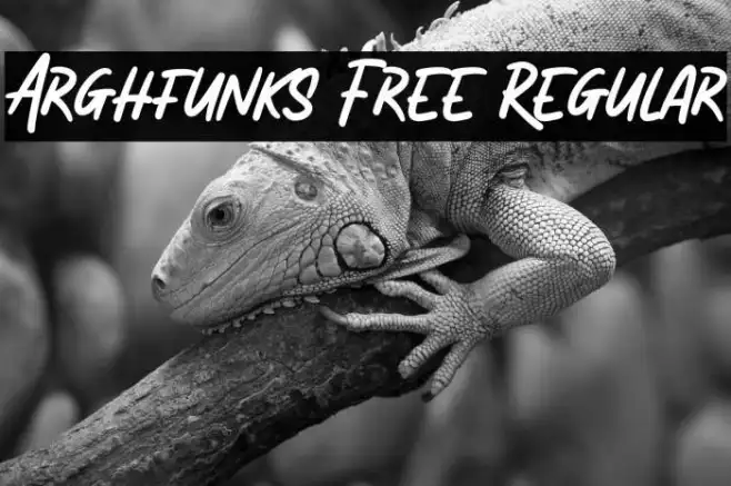 Arghfunks Free Regular Example 3
