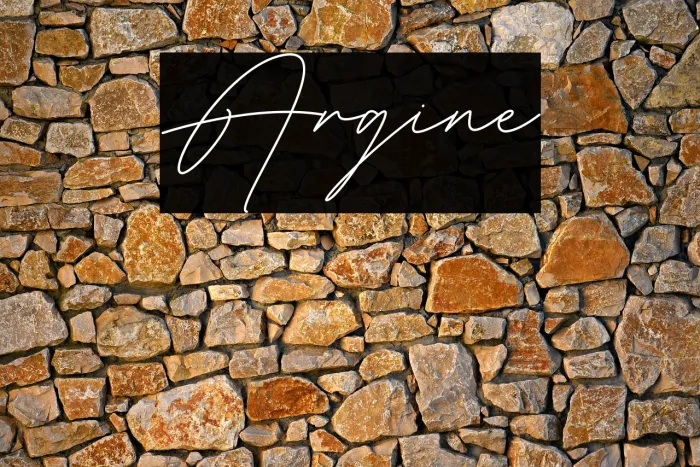 Argine Example 1