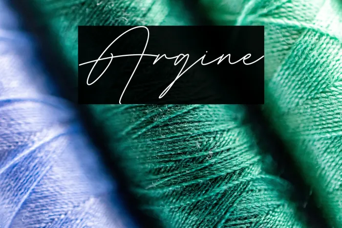 Argine Example 2