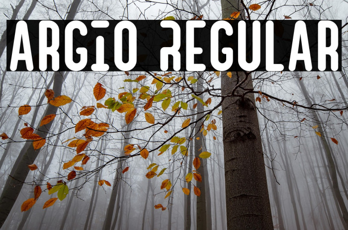 Argio Regular Example 1