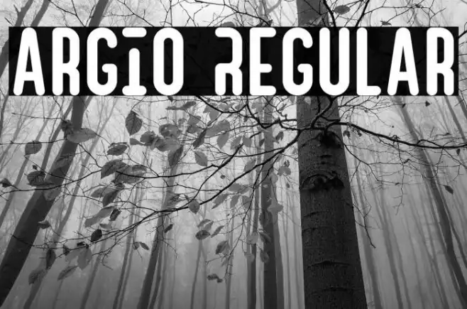 Argio Regular Example 1