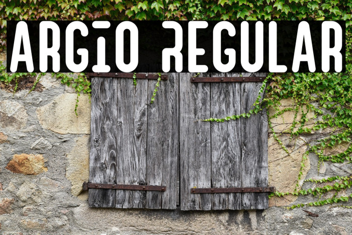 Argio Regular Example 2