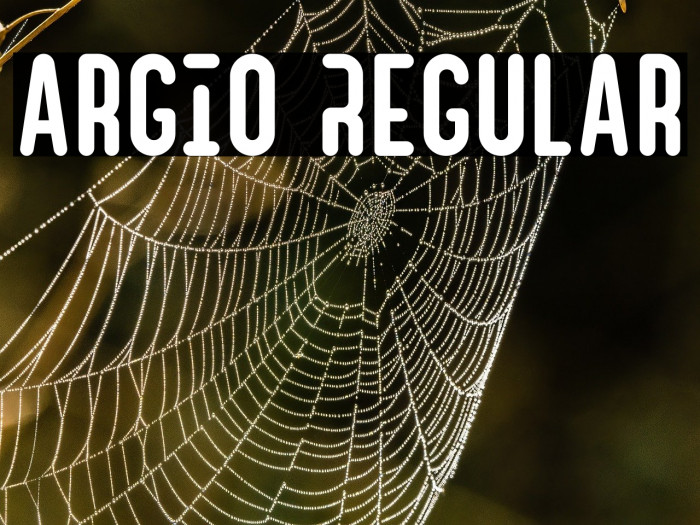 Argio Regular Example 3