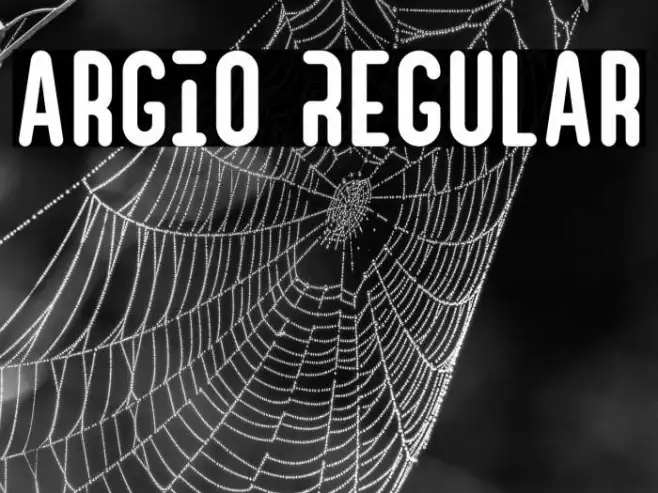 Argio Regular Example 3