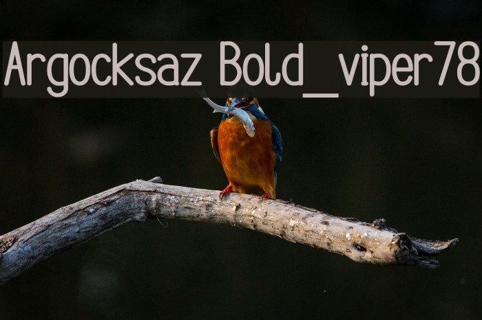 Argocksaz Bold_viper78 Polices examples