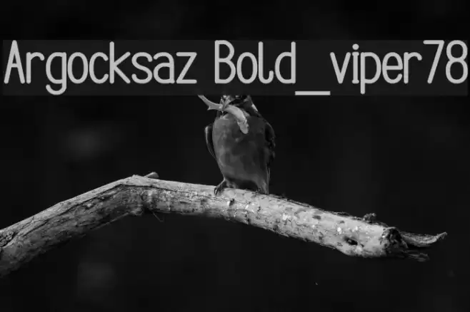 Argocksaz Bold_viper78 Polices examples