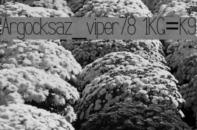 Argocksaz_viper78 1KG=K9 Font examples