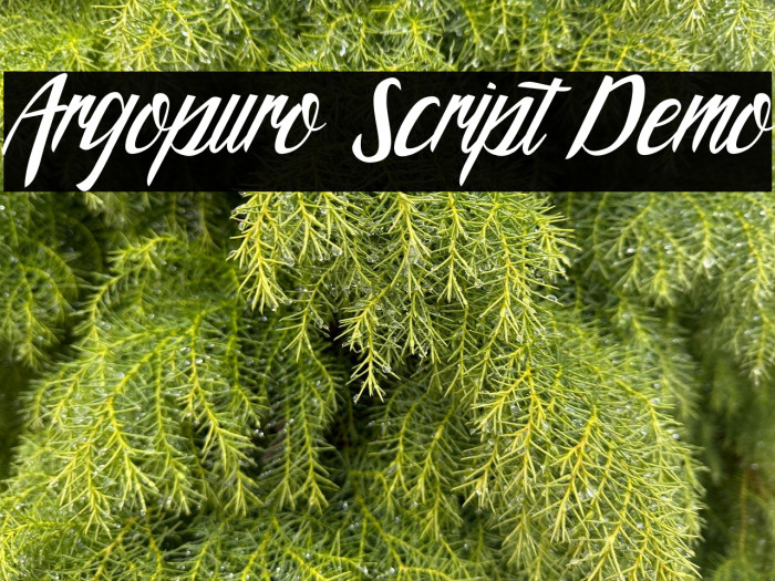 Argopuro Script Demo Example 1