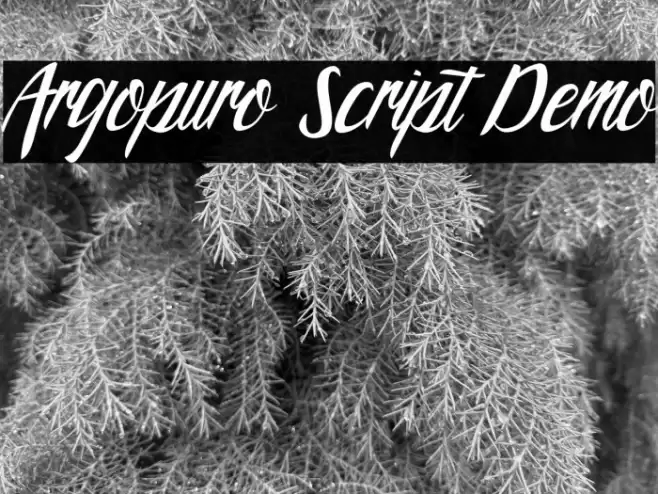 Argopuro Script Demo Font examples