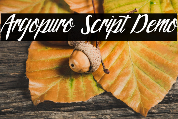 Argopuro Script Demo Example 2
