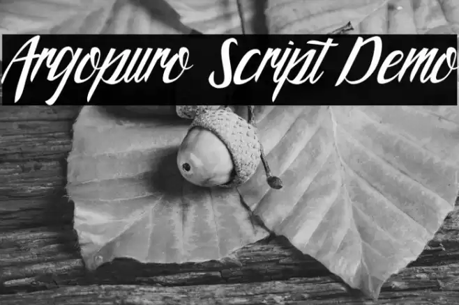 Argopuro Script Demo Font examples