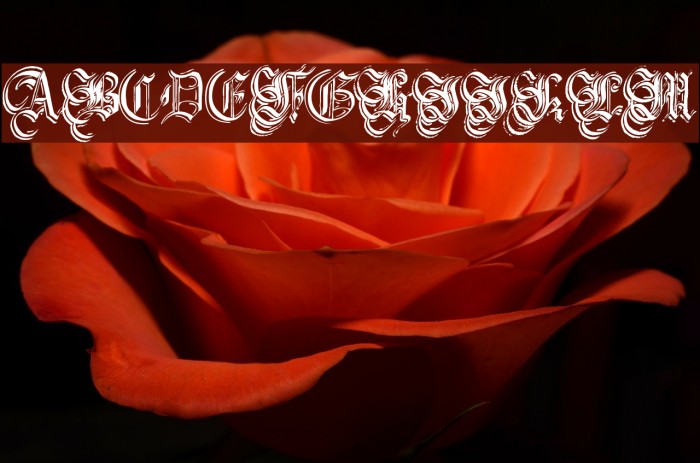 Argor Flahm Scaqh Font examples