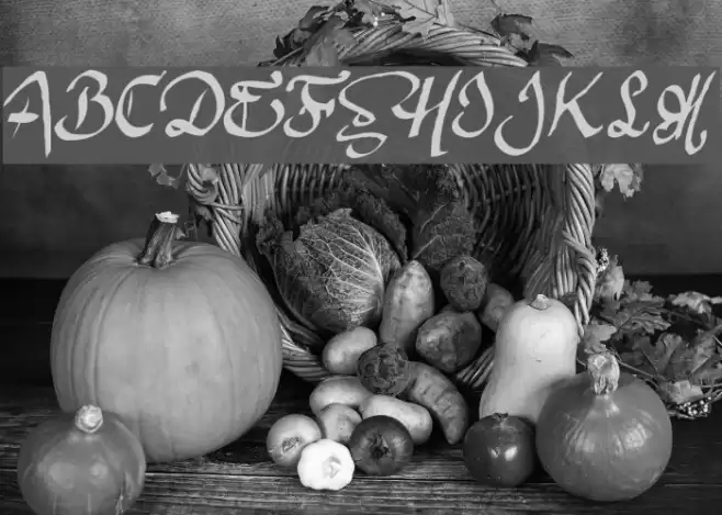 Argor Man Scaqh Font examples