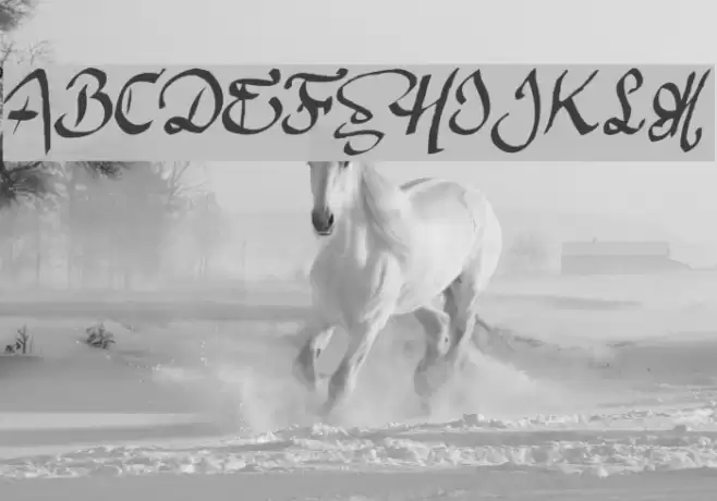 Argor Man Scaqh Font examples