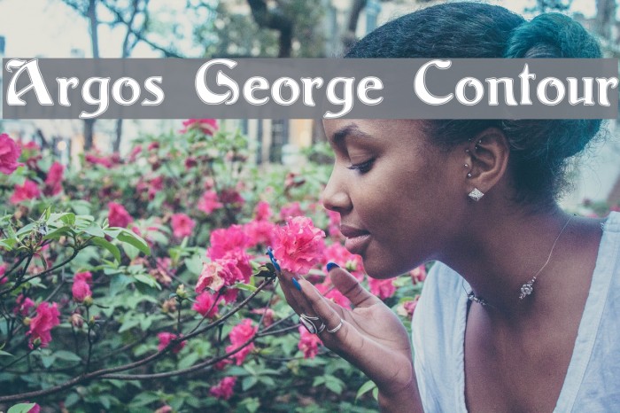 Argos George Contour Font examples