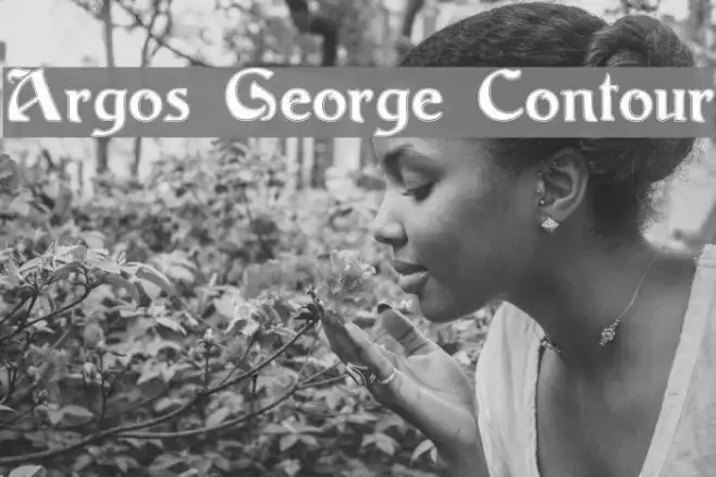 Argos George Contour Example 2
