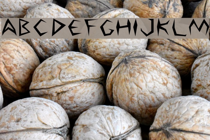 Argosy Font examples